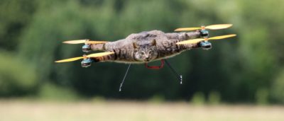 Bart Jansen - Copter Company - 動物標本無人機