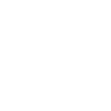 DronesPlayer Logo