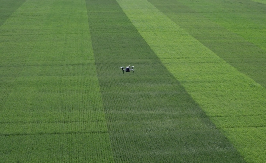 消費級無人機銷售增長放緩　DJI 放眼農用市場站穩腳